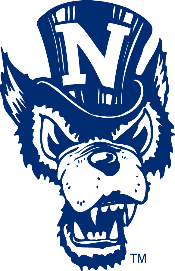 Nevada Wolf Pack 1979-1993 Alternate Logo diy iron on heat transfer